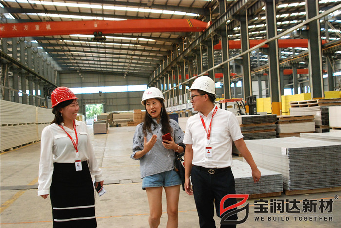 迪拜客戶來(lái)訪寶潤(rùn)達(dá)參觀考察 洽談合作