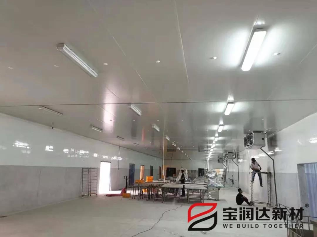 寶潤(rùn)達(dá)聚氨酯冷庫(kù)板案例