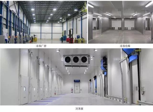 寶潤達(dá)聚氨酯冷庫板項目