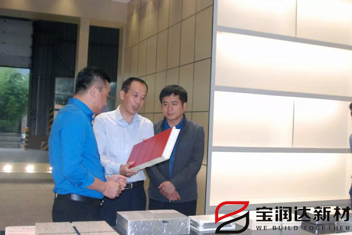 市產(chǎn)業(yè)集聚區(qū)冀偉主任一行來(lái)訪寶潤(rùn)達(dá)視察